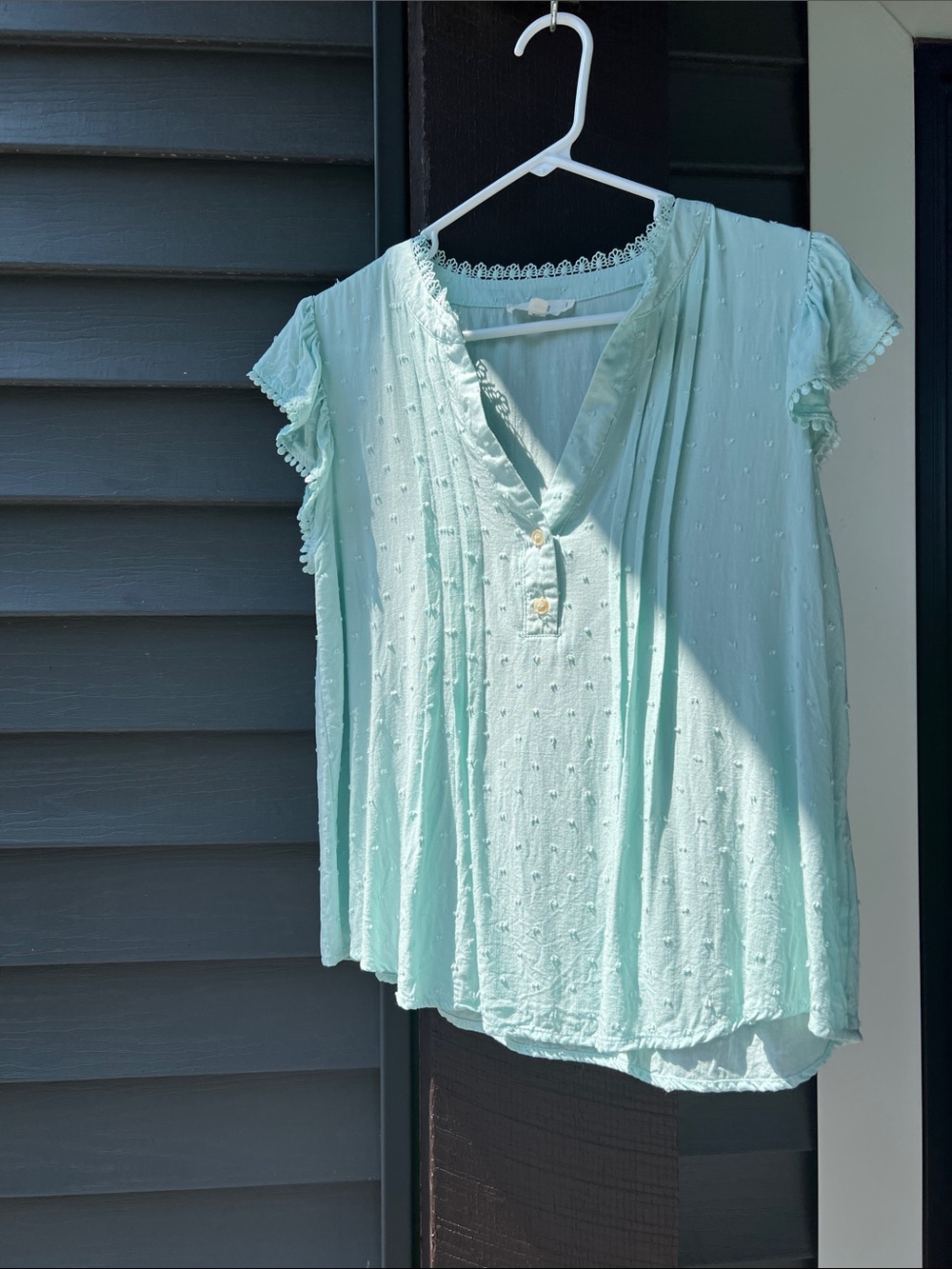 mine Light Mint Swiss-Dot V-Neck Blouse
